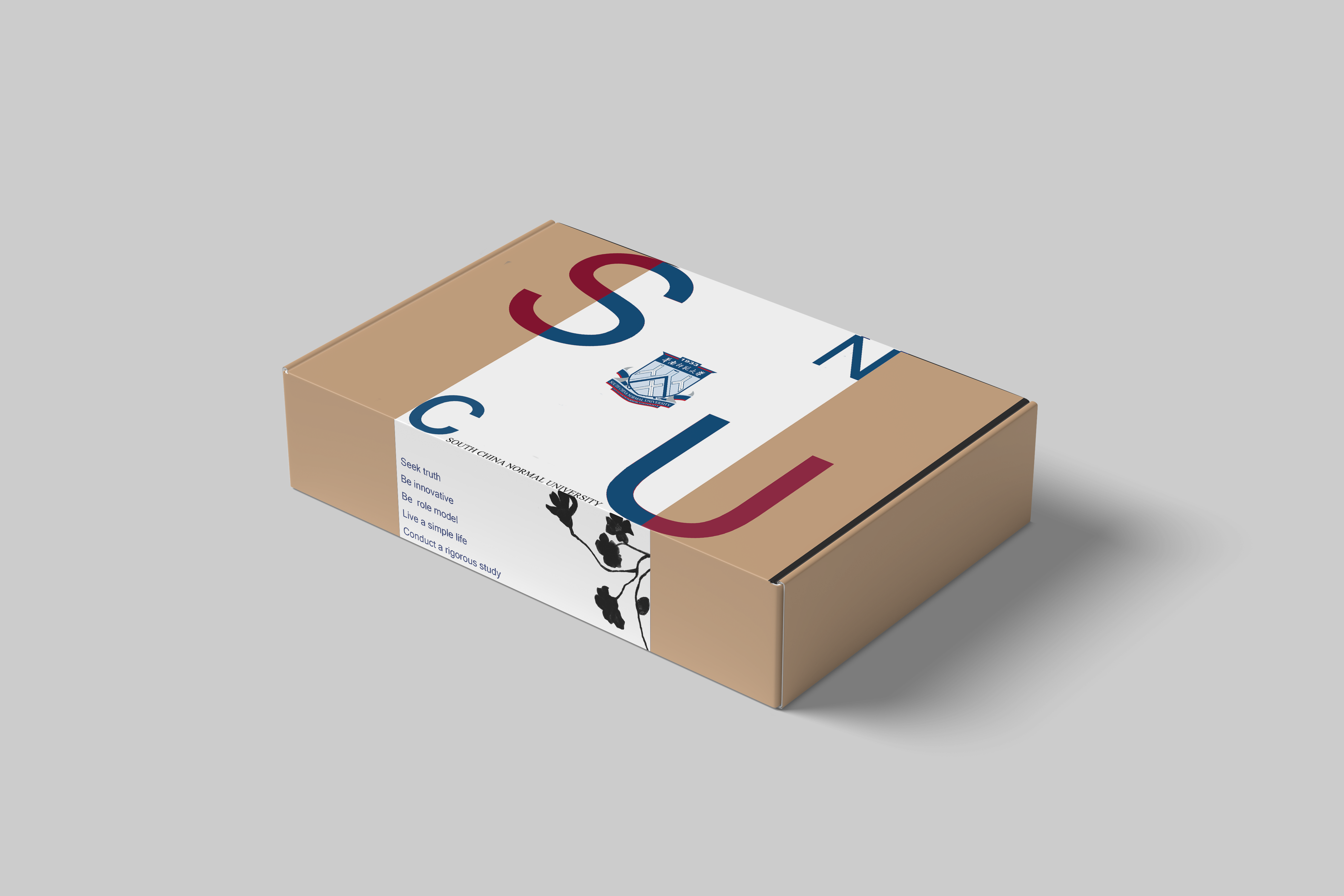 SCNU aircraft box packaging
