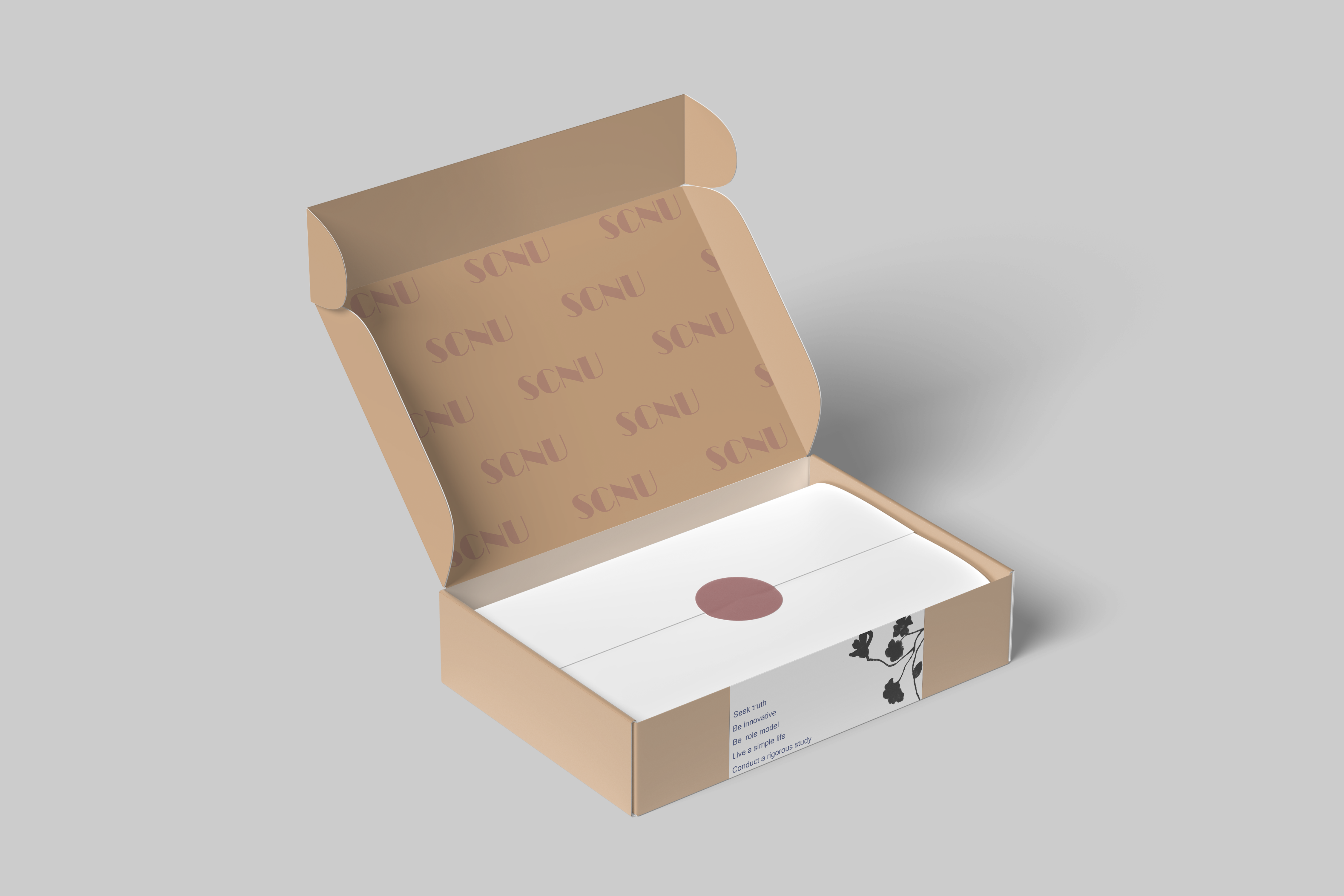 Open SCNU aircraft box packaging