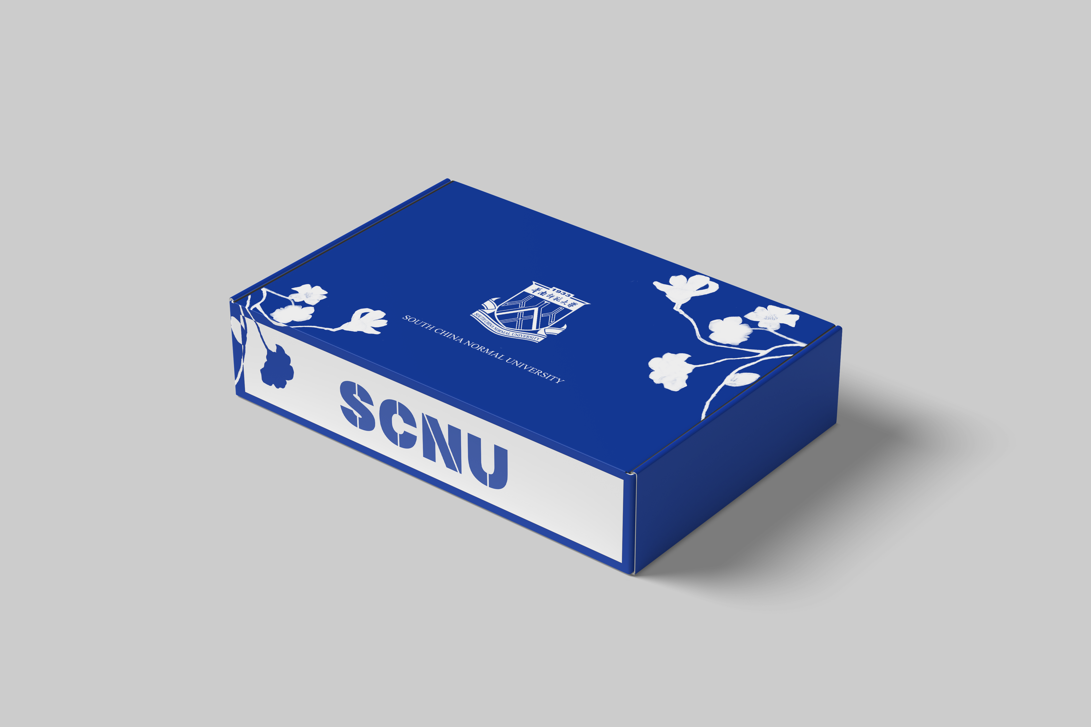 Blue SCNU aircraft box packaging